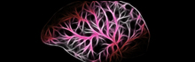 Make Your Brain A Happy Brain